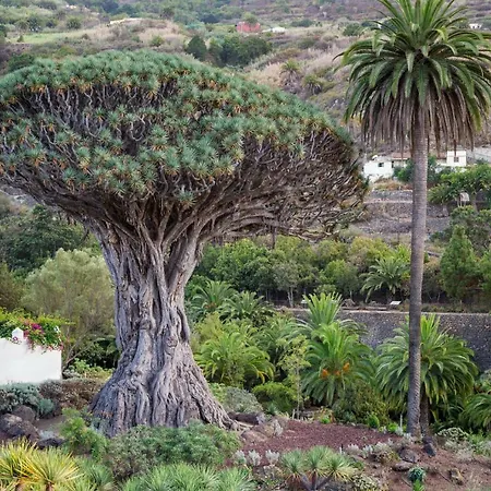 Superior A: Private Pool & Concierge Appartement *